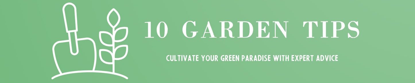 10 Garden Tips
