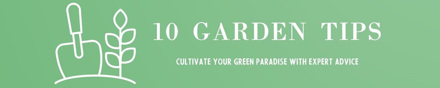 10 Garden Tips